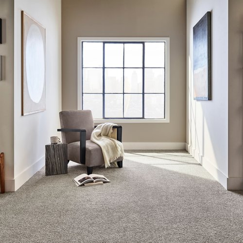 A room with brigh light from Anderson Tile & Carpet in Anderson